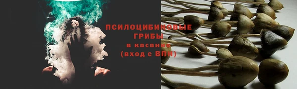 jwh Верея